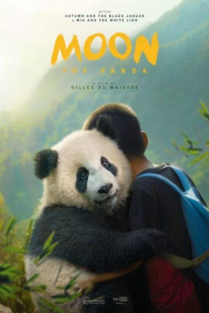 Moon le panda 2025